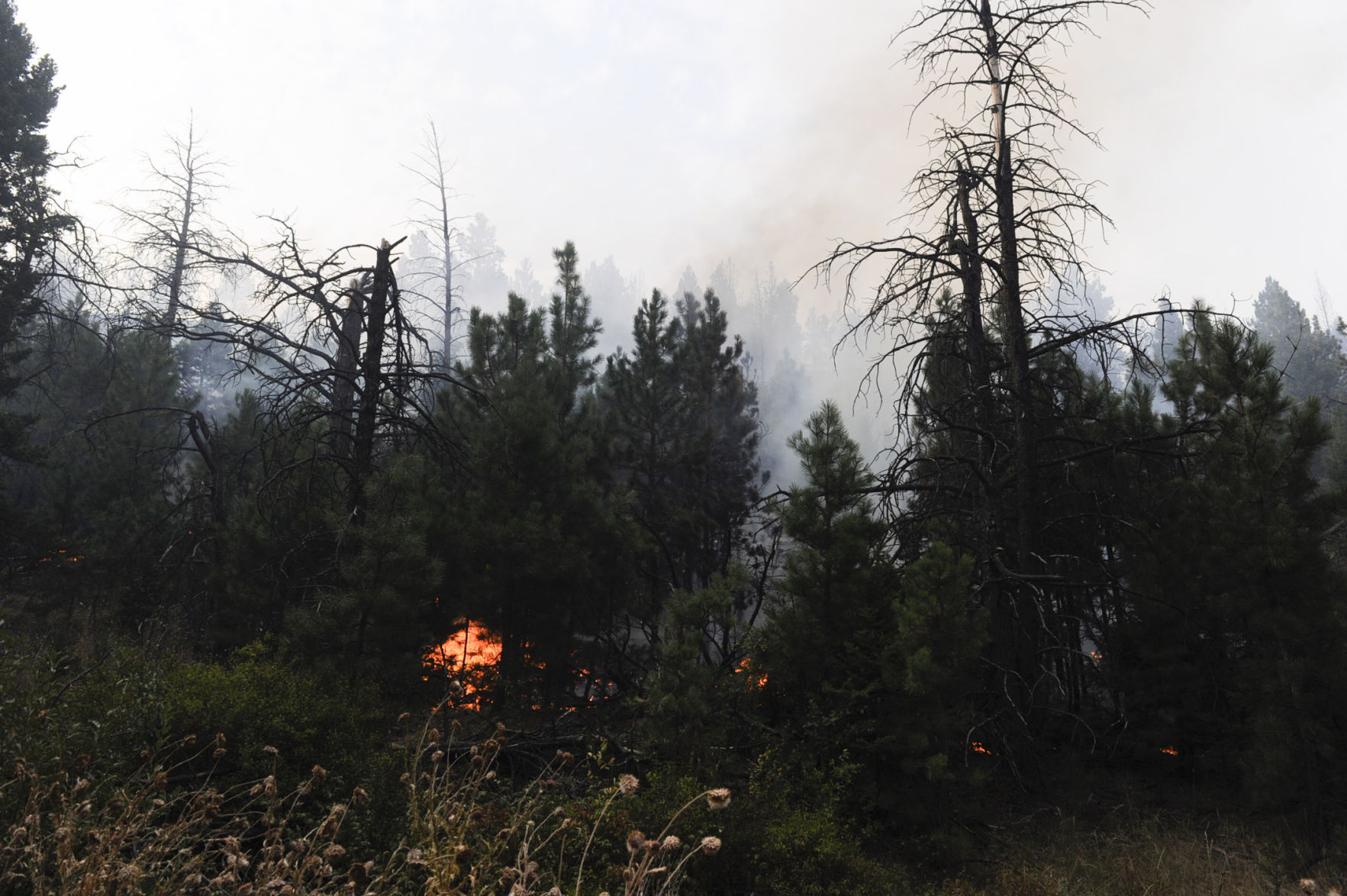 Roughly one hundred personnel and multiple aircraft help battle a lightening caused fire south of Helena Thursday afternoon.